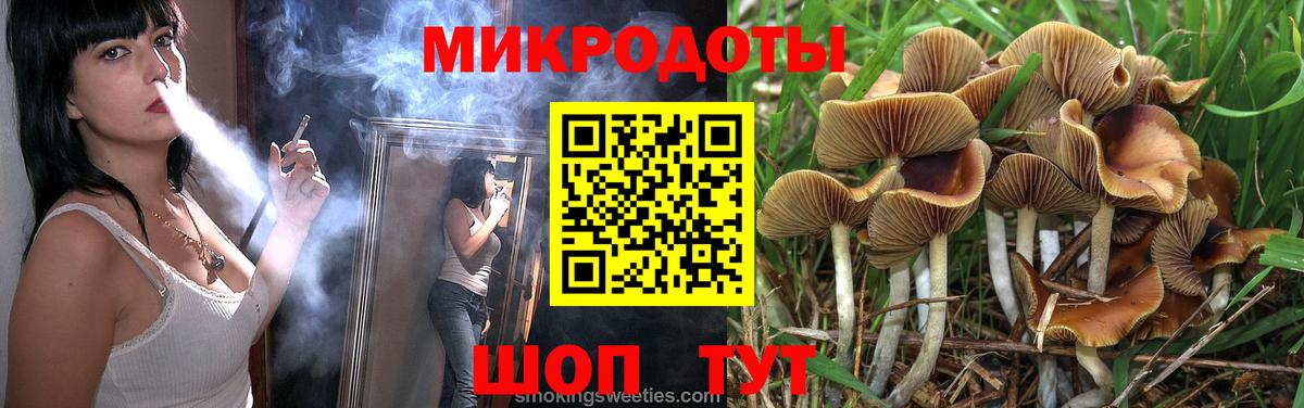 Ирбит  Псилоцибиновые грибы Psilocybe  Вход с VPN 
